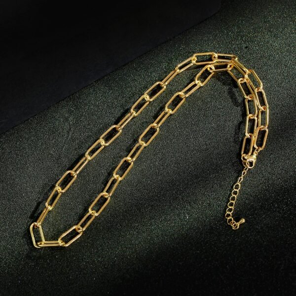 Loose Chain Jewelry Necklace - Image 4